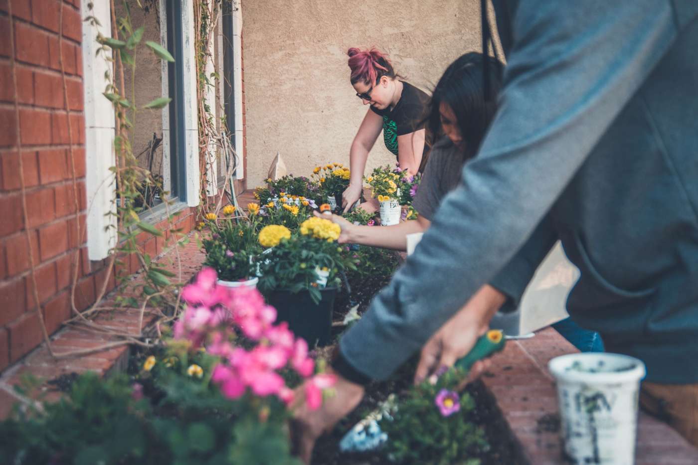 How Can Gardening Help Boost Your Mental Health?